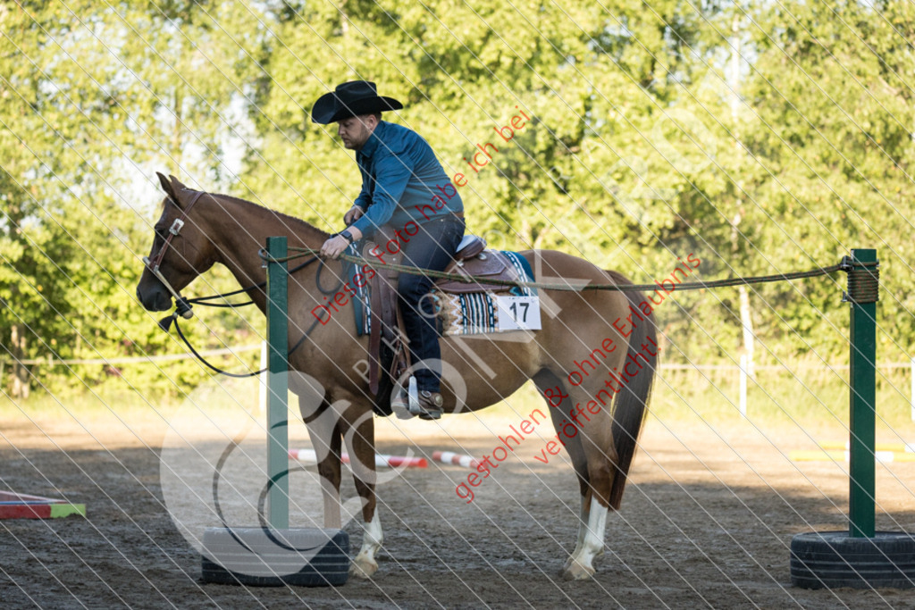 IMG_5981 | Sport-, Event- und Tierfotos in Profiqualität. Einfach auswählen, bestellen und herunterladen. Dein Moment – perfekt festgehalten.