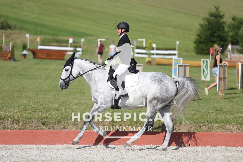 0P6A8667 | Willkommen bei Brunnmayr - Design & Fotografie – Ihrem Spezialisten für Reitturniere und Pferdeveranstaltungen in Oberösterreich, Salzburg und Bayern! Seit über 17 Jahren sind wir leidenschaftlich dabei.