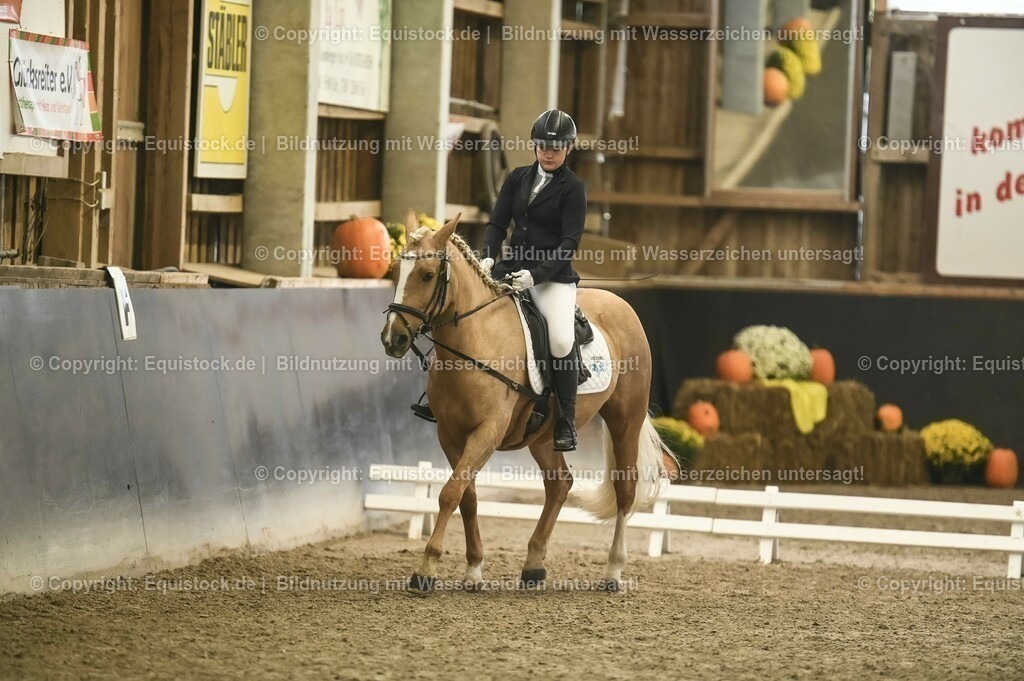 20231029_02_Reiter-WB_Schritt-Trab-Galopp_Abteilung-01_0036 | Foto: Thomas Hartig