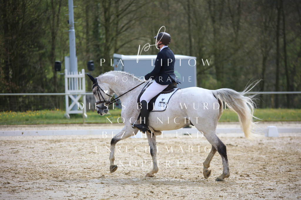 IMGT3284 | pl-fotografie