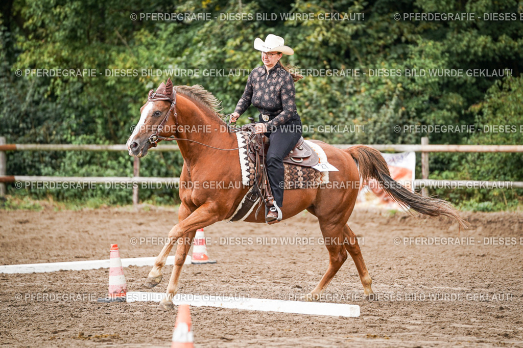 DSC04029 | Pferdegrafie