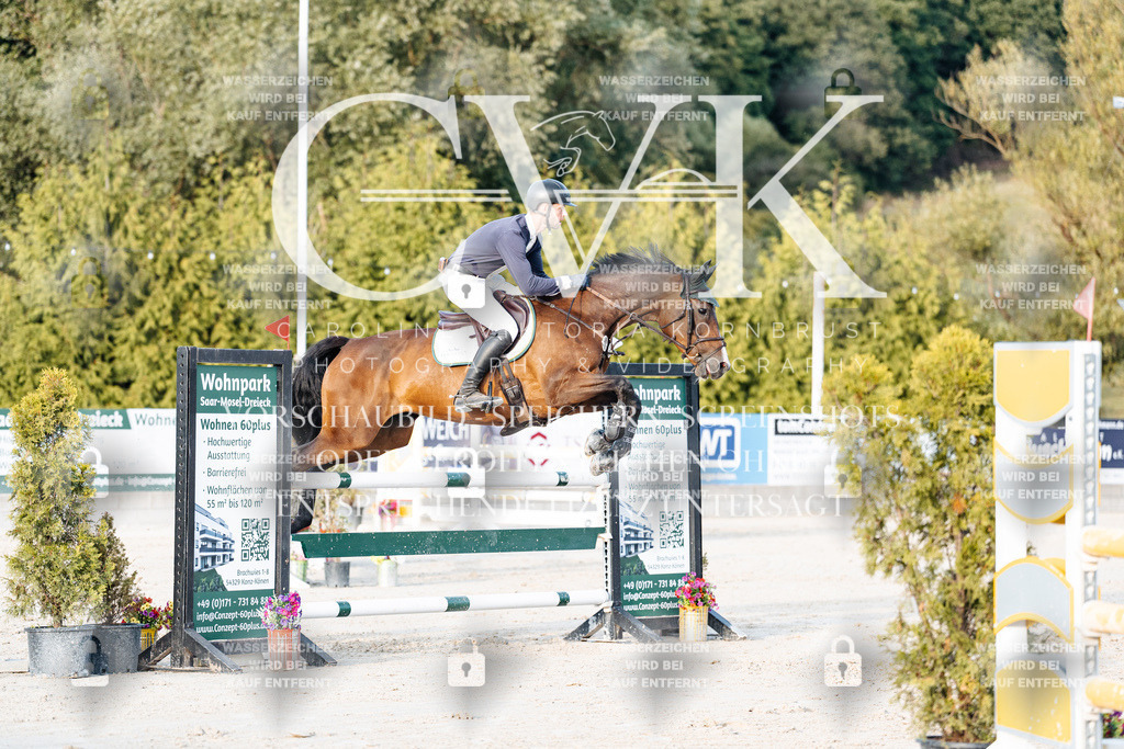 CK900867 | Turnierfotografie Pferdefotografie Trier Rheinland-Pfalz Pferdesport Reitsport Tierfotografie Sportfotografie Pferdevideo Pferdevideografie Equestrianvideography equestrianphotography  - Realisiert mit Pictrs.com