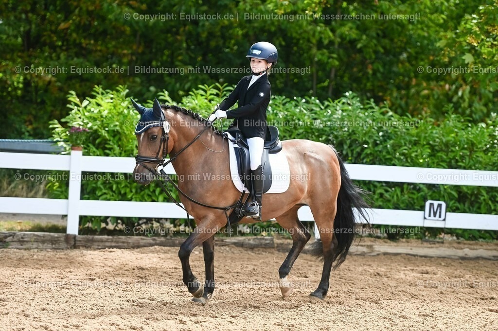 20230716_10-3_Reiter-WB Schritt - Trab - Galopp_0045 | equistock