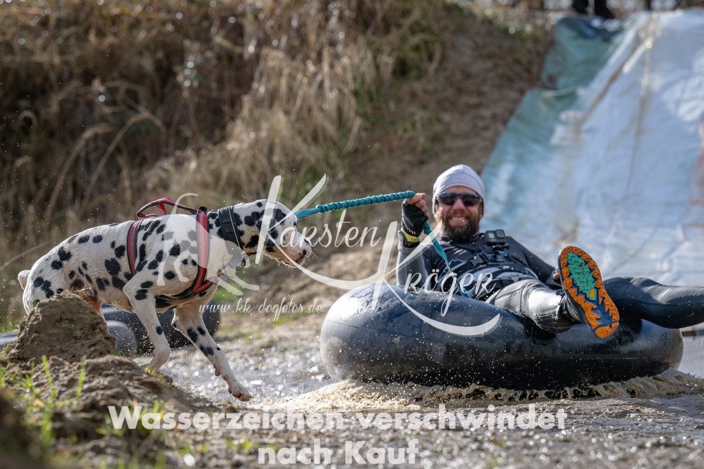 1554_ZZ92140 | kk-dogfotos