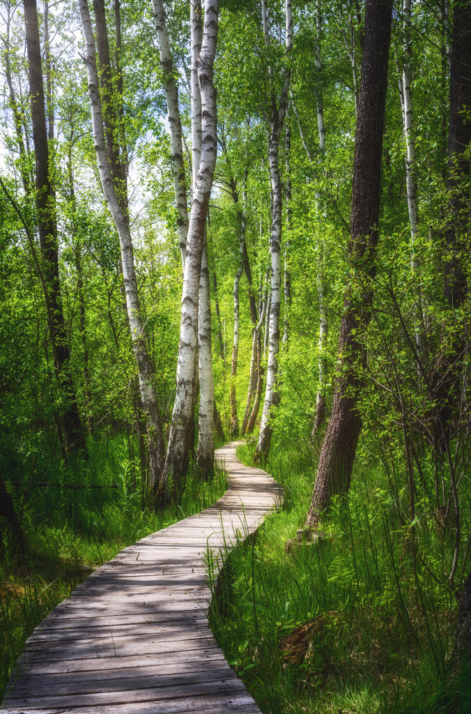 Poleski Nationapark 8 | Polen - Realisiert mit Pictrs.com