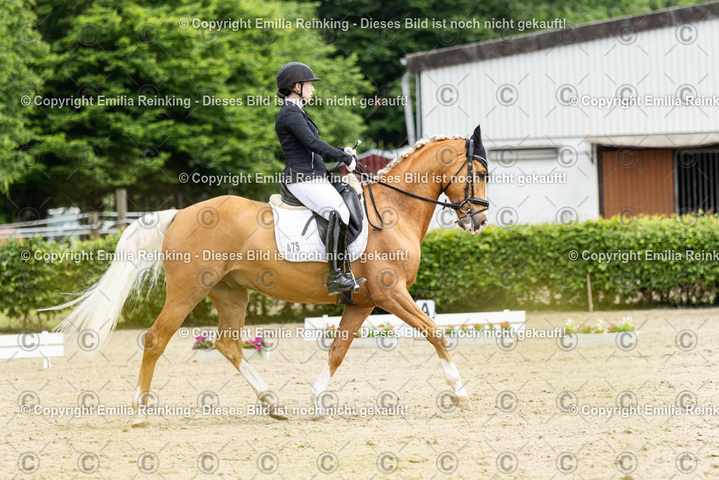 CL5A0083 | Emilia Reinking Fotografie - Realisiert mit Pictrs.com