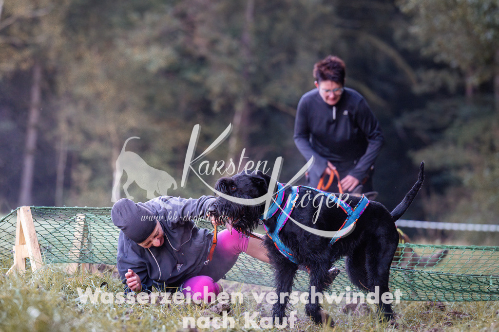 0830_ZZ90490 | kk-dogfotos