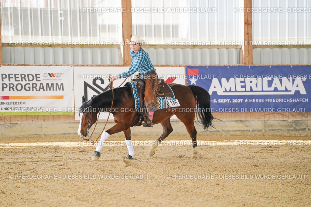 DSC02787 | Pferdegrafie