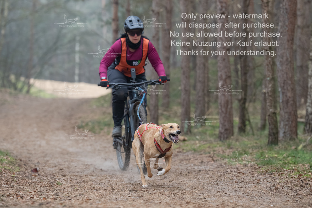 Bike1-170 | stephaniefillaphotographie - Realisiert mit Pictrs.com