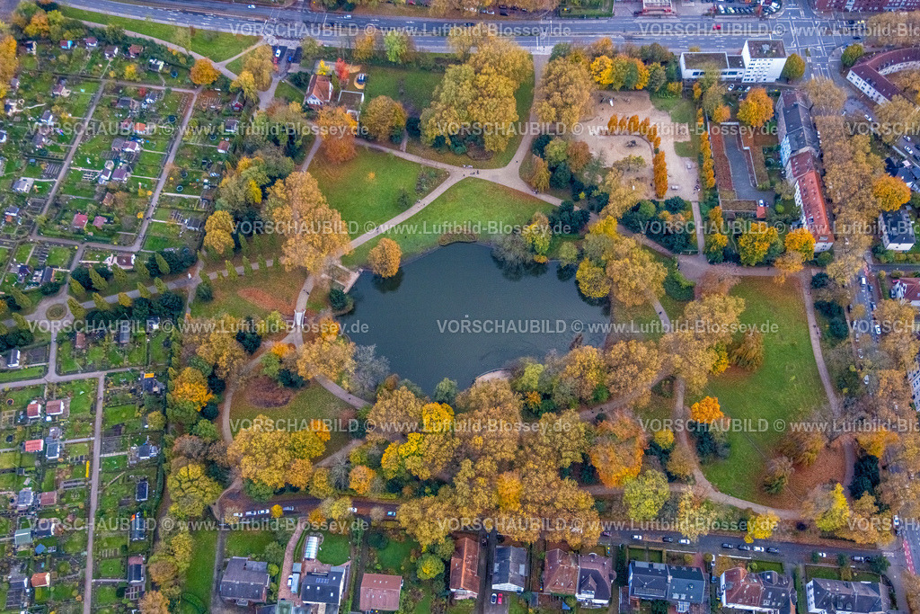 Gelsenkirchen231102984 | Luftbild, Bulmker Park mit See am Kleingärtnerverein Bulmker-Erlenkamp e.V., umgeben von herbstlichen Laubbäumen, Bulmke-Hüllen, Gelsenkirchen, Ruhrgebiet, Nordrhein-Westfalen, Deutschland