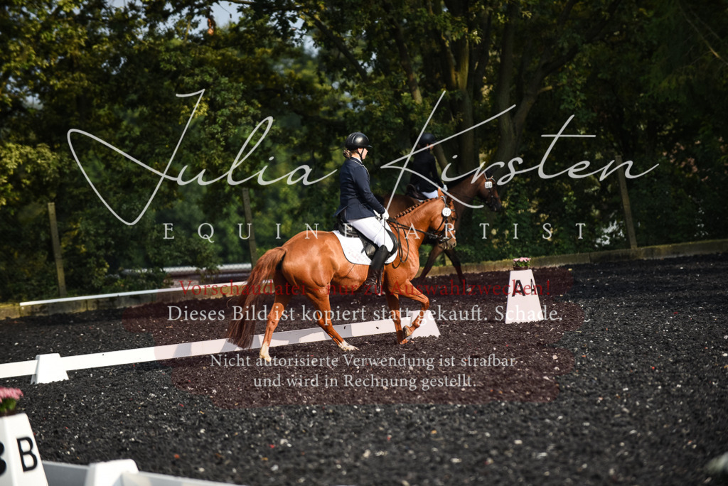 DSC_3441 | Pferde- und Turnierfotografie in Westsachsen. Pferdeportraits, Auftragszeichnungen und intuitive Kunst.