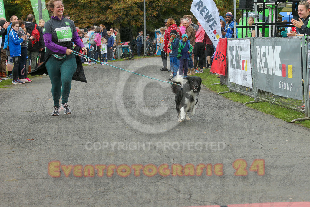 220925_1202_EX1_9274 | Sportfotografie im Rhein-Sieg Kreis, Köln, Bonn, NRW, Rheinland Pfalz, Hessen, etc. Unser Tätigkeitsfeld umfasst den Laufsport vom Volkslauf über den Marathon, Duathlon, Triathon bis zum Ultralauf wie Kölnpfad Ultra oder Schindertrail.