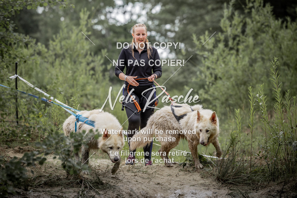 nelerasche_so0800-0930_439 | nelerasche