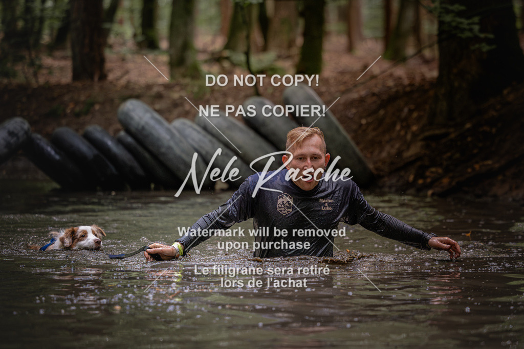 nelerasche_SaWingst1400-1500_242 | nelerasche