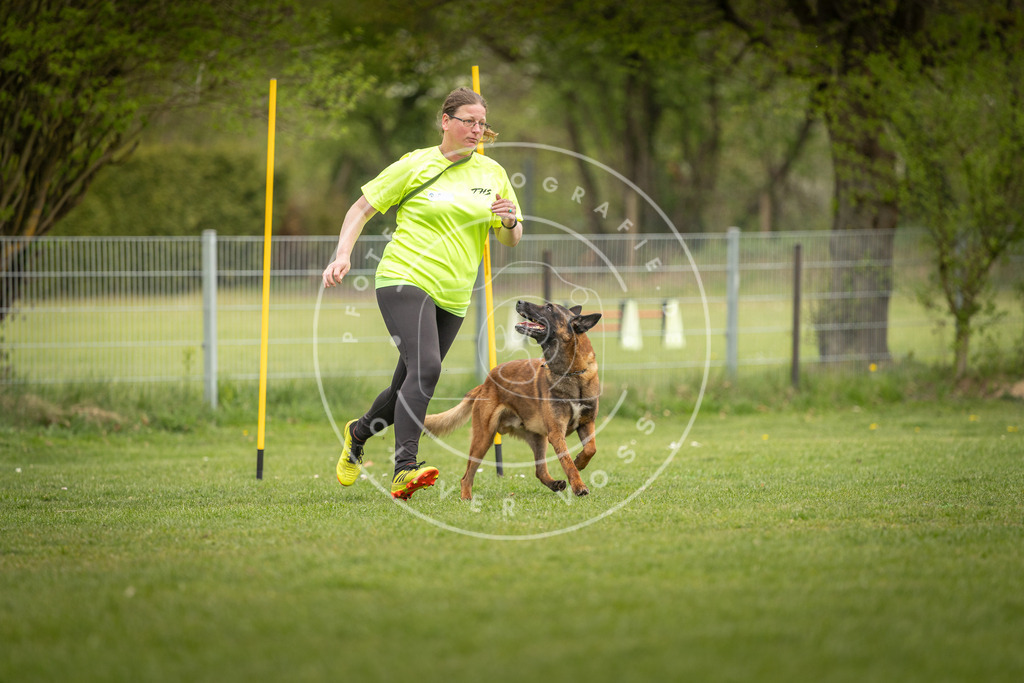 Pfotenfotografie_DV3A9514 | Hundefotografie, Tierfotograf, Pfotenfotografie, Fotoshooting Hund, Hunde Portrait, Hundesport, Hundeportraits, Heideshooting, Hunde, Sportfotograf, Hundefotograf, Turnierhundsport, THS,  - Realisiert mit Pictrs.com
