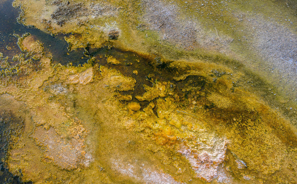 2024-091 | Firehole Basin, Black Sand Geyser Basin. - Realisiert mit Pictrs.com