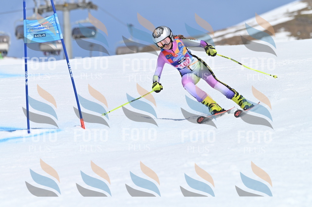 BGV_0295 | holidayphoto