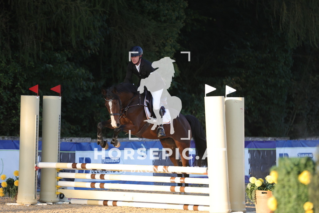 0P6A8405 | Willkommen bei Brunnmayr - Design & Fotografie – Ihrem Spezialisten für Reitturniere und Pferdeveranstaltungen in Oberösterreich, Salzburg und Bayern! Seit über 17 Jahren sind wir leidenschaftlich dabei.