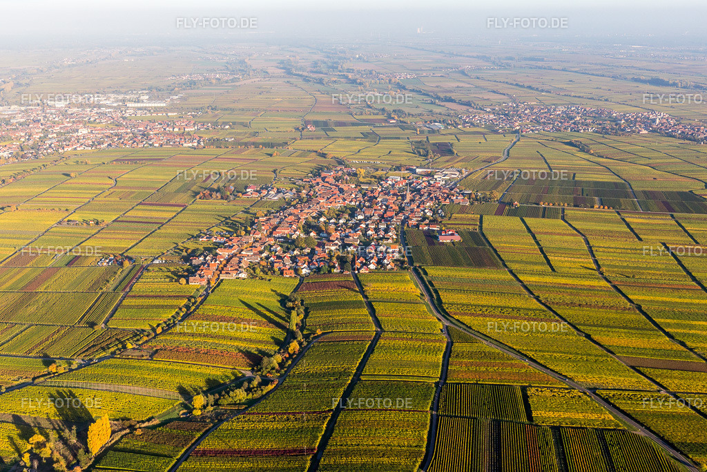 Dorf - Ansicht am Rande von Weinbergen in Herbstfärbung | Luftbild: Dorf - Ansicht am Rande von Weinbergen in Herbstfärbung in Rhodt unter Rietburg im Bundesland Rheinland-Pfalz in Deutschland. Foto: IMG_095664.jpg vom 30.10.2016 durch Werner Riehm/FLY-FOTO.de - Realisiert mit Pictrs.com