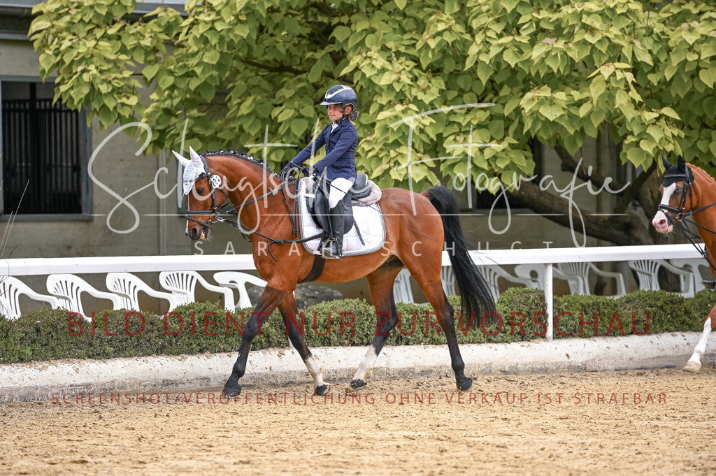 Schugtsche-Aluta25-44.DresssurreiterWB-29 | Schugtsche Fotografie - Realisiert mit Pictrs.com