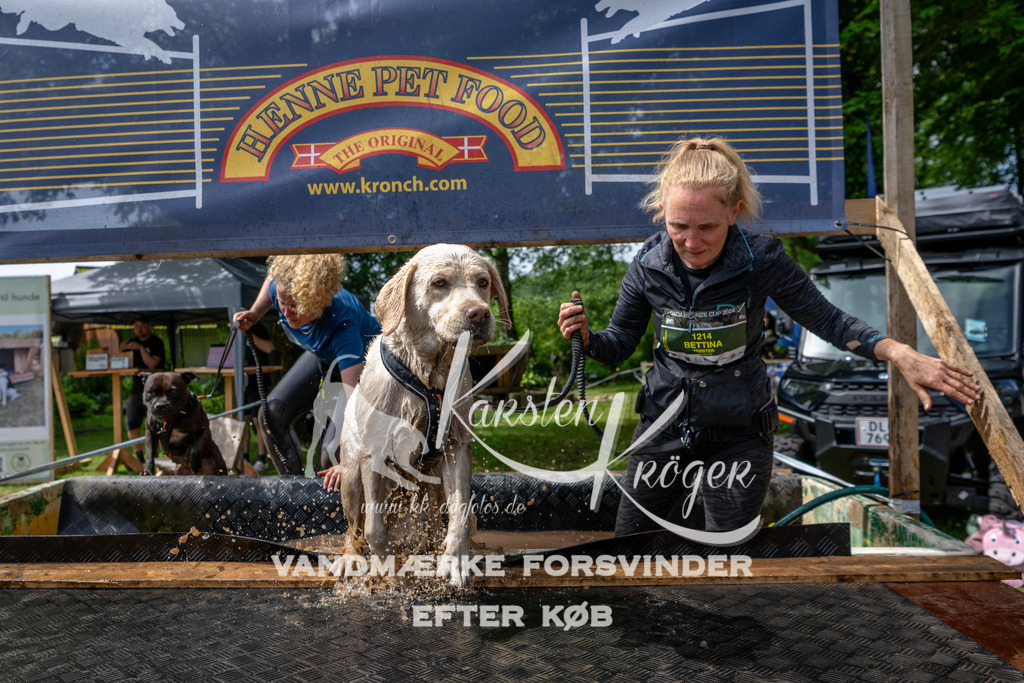 1122_ZZ93846 | kk-dogfotos