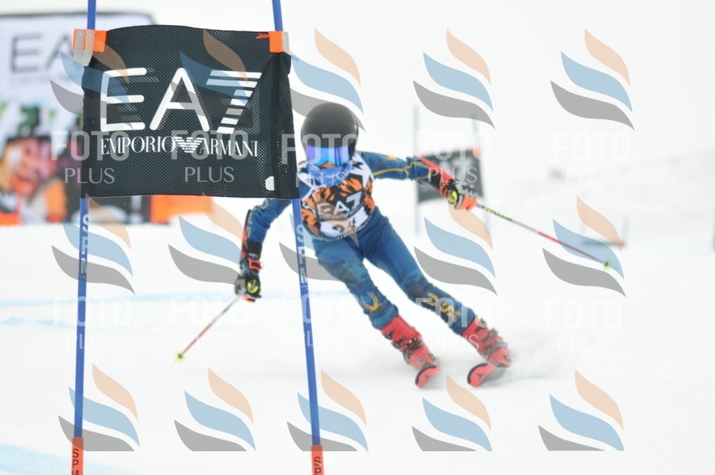 DSC_8010 | holidayphoto