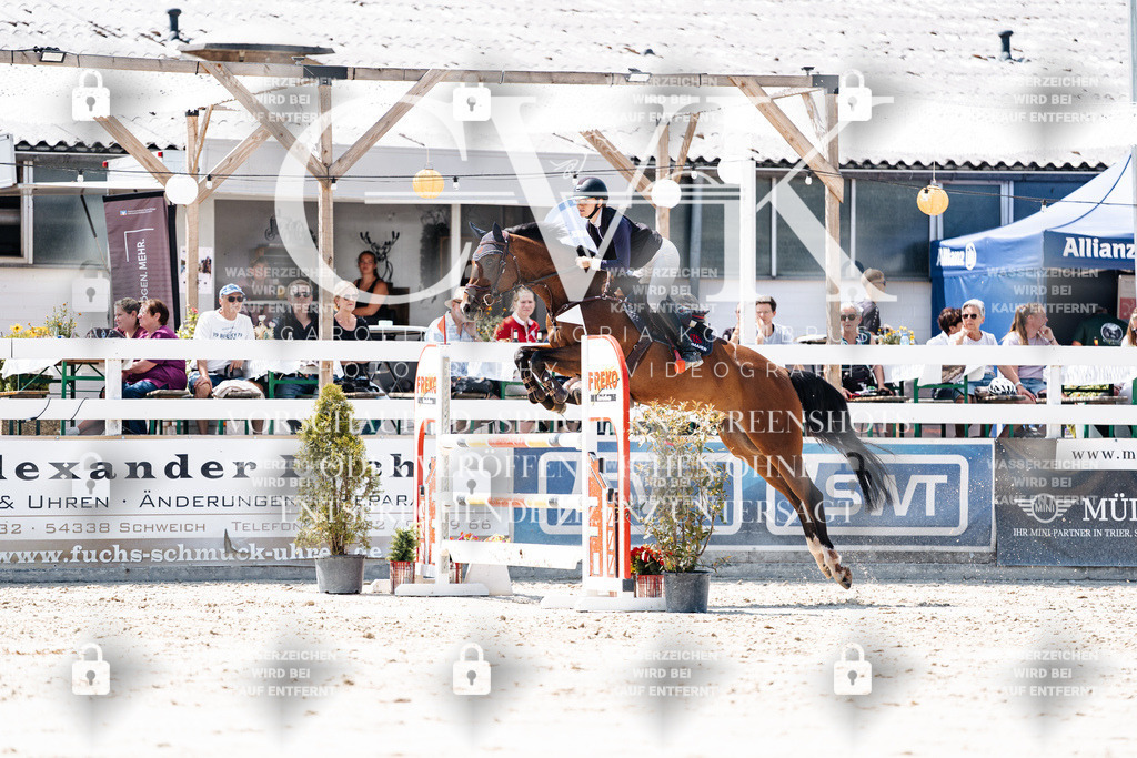 CK900114 | Turnierfotografie Pferdefotografie Trier Rheinland-Pfalz Pferdesport Reitsport Tierfotografie Sportfotografie Pferdevideo Pferdevideografie Equestrianvideography equestrianphotography  - Realisiert mit Pictrs.com