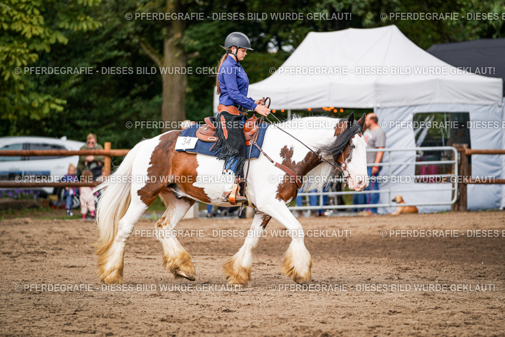 DSC07657 | Pferdegrafie