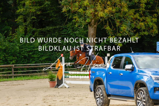 _62_8951 | larahueckfotografie