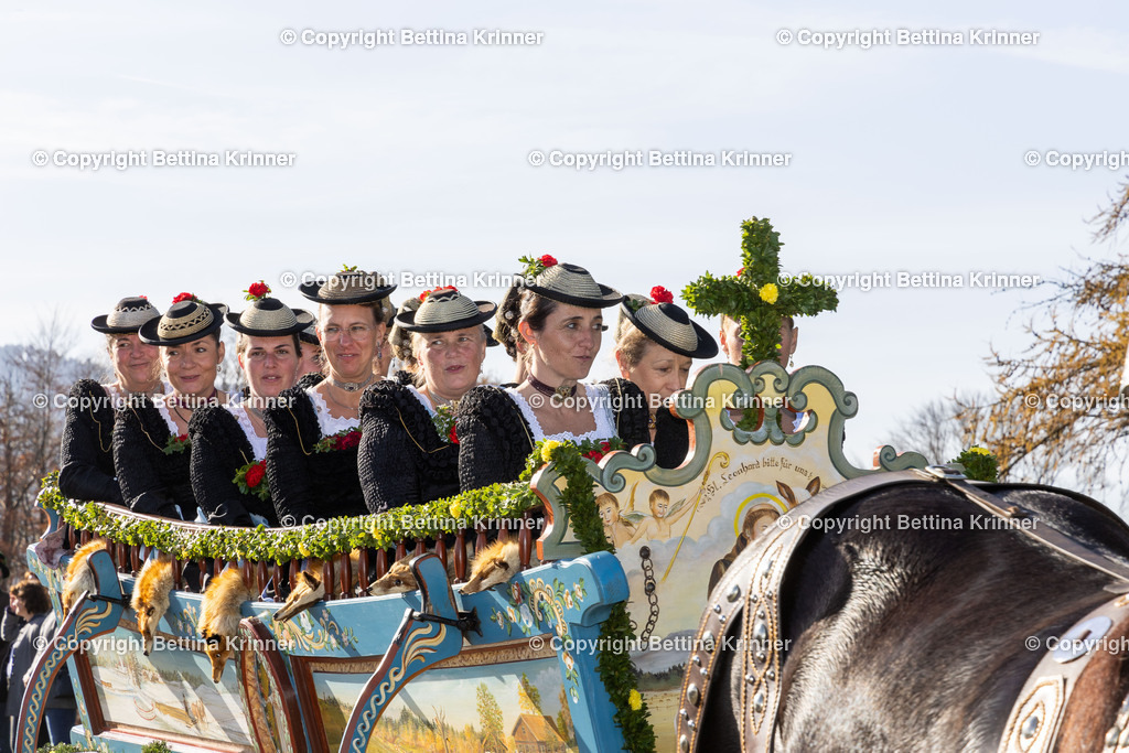 LBT24-1551 | foto-bettina-krinner - Realisiert mit Pictrs.com