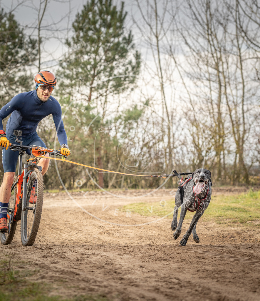 Pfotenfotografie_DV3A7077 | Hundefotografie, Tierfotograf, Pfotenfotografie, Fotoshooting Hund, Hunde Portrait, Hundesport, Hundeportraits, Heideshooting, Hunde, Sportfotograf, Hundefotograf, Turnierhundsport, THS,  - Realisiert mit Pictrs.com