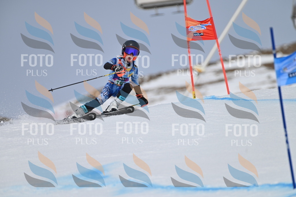 BGV_3776 | holidayphoto