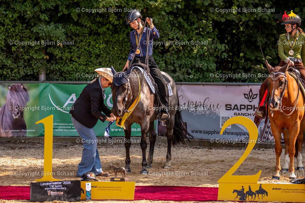 LMS07902 | BS-foto