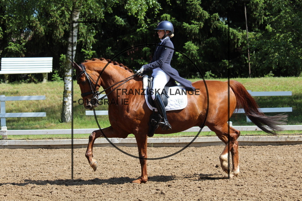 IMG_7061 | franziskalange - Realisiert mit Pictrs.com