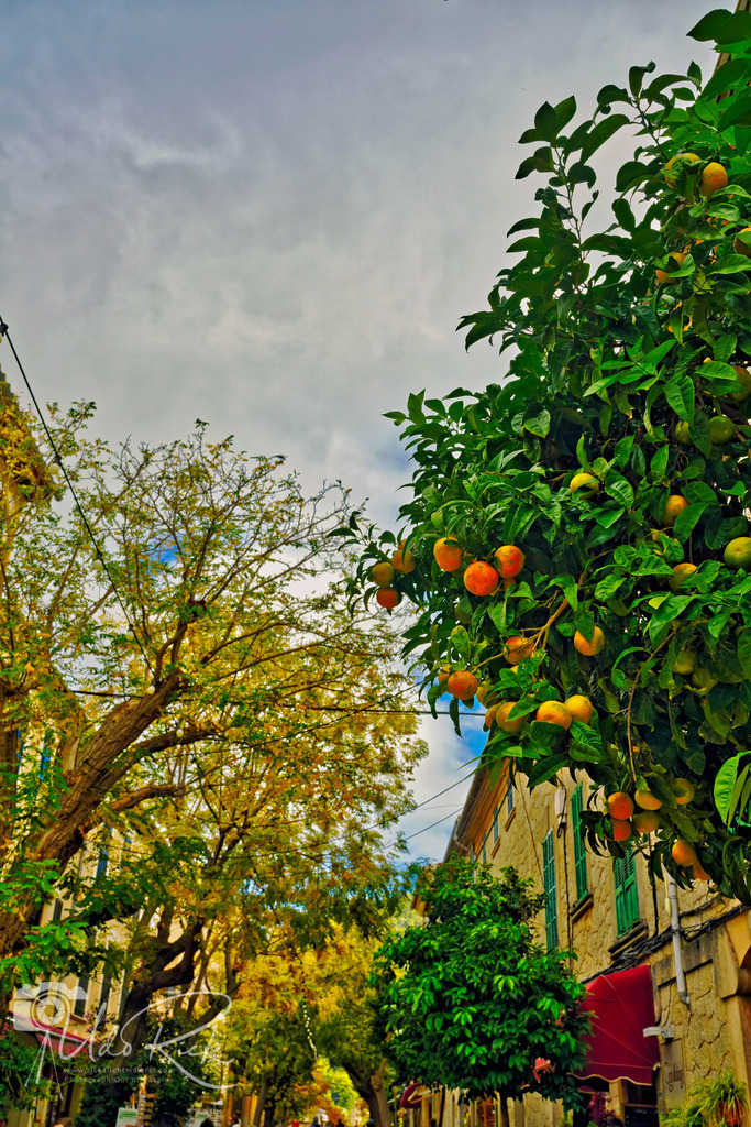 Mallorca10 | Entdecken Sie Fotografie aus Leidenschaft: Auftragsfotografie, HD-Fotos, Geschenkartikel aus Ihren Bildern und vieles mehr. Beauftragen Sie uns für besondere Momente!