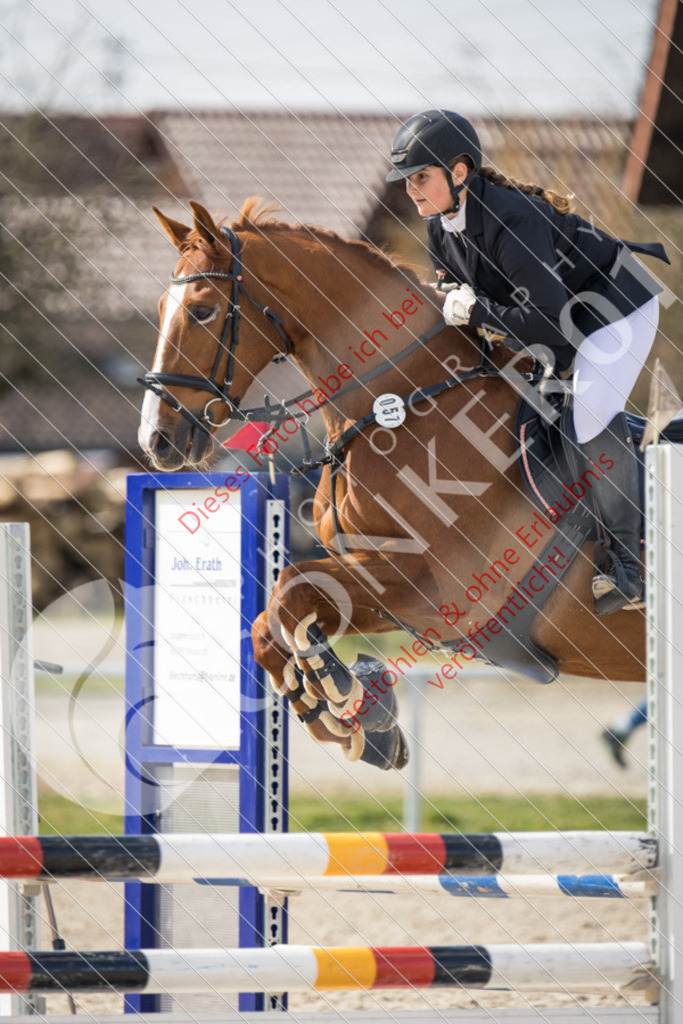 IMG_4196 | Sport-, Event- und Tierfotos in Profiqualität. Einfach auswählen, bestellen und herunterladen. Dein Moment – perfekt festgehalten.