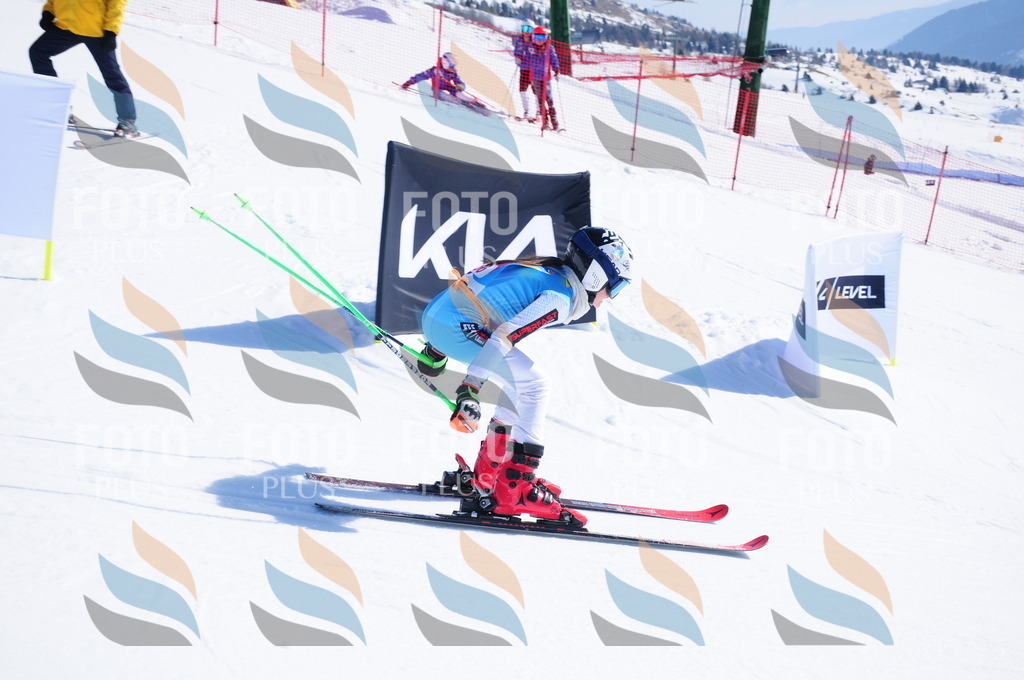 DSC_4256 | holidayphoto