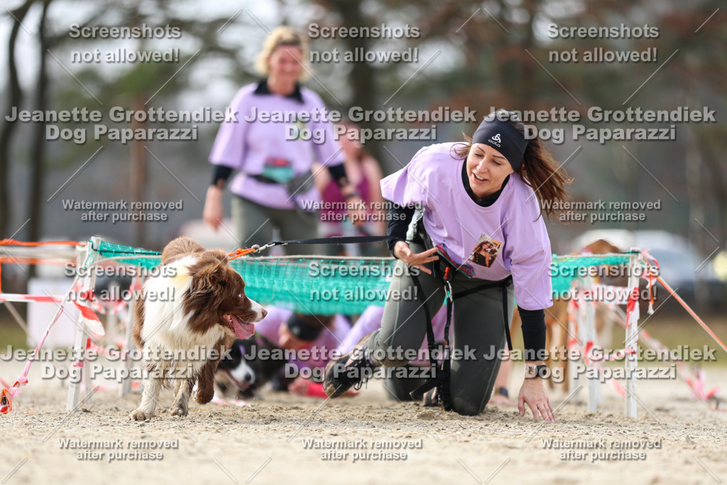 Dog Paparazzi - Strongdog North Mrz26-5250 | Dog Paparazzi Jeanette Grottendiek Fotografie & Videografie - Realisiert mit Pictrs.com
