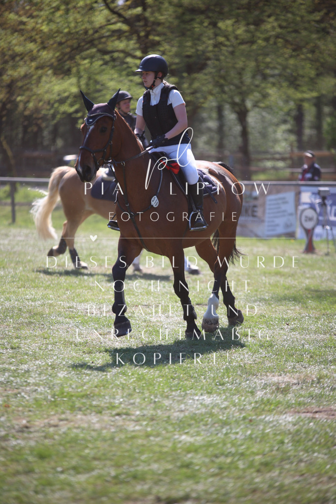 IMGT9028 | pl-fotografie