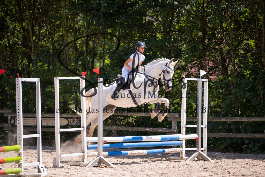 A7V08371 | Pferdefotograf