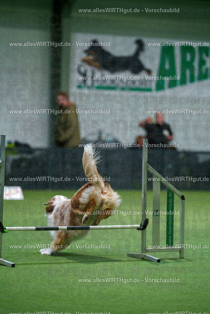 7R503863 | Professionelle Tierfotografie in Mönchengladbach von Daniel Wirth (allesWIRTHgut). Liebevolle & natürliche Bilder von Hunden & Katzen für unvergessliche Erinnerungen.