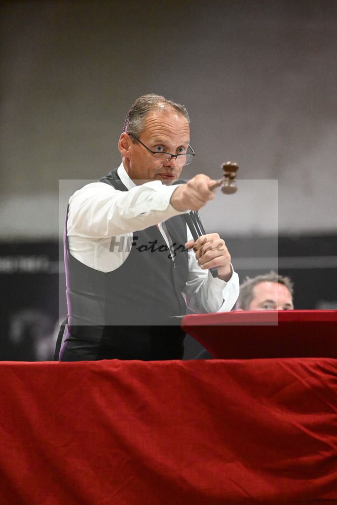 Auktion Big Chance_36230488 | hf-fotografie - Realisiert mit Pictrs.com