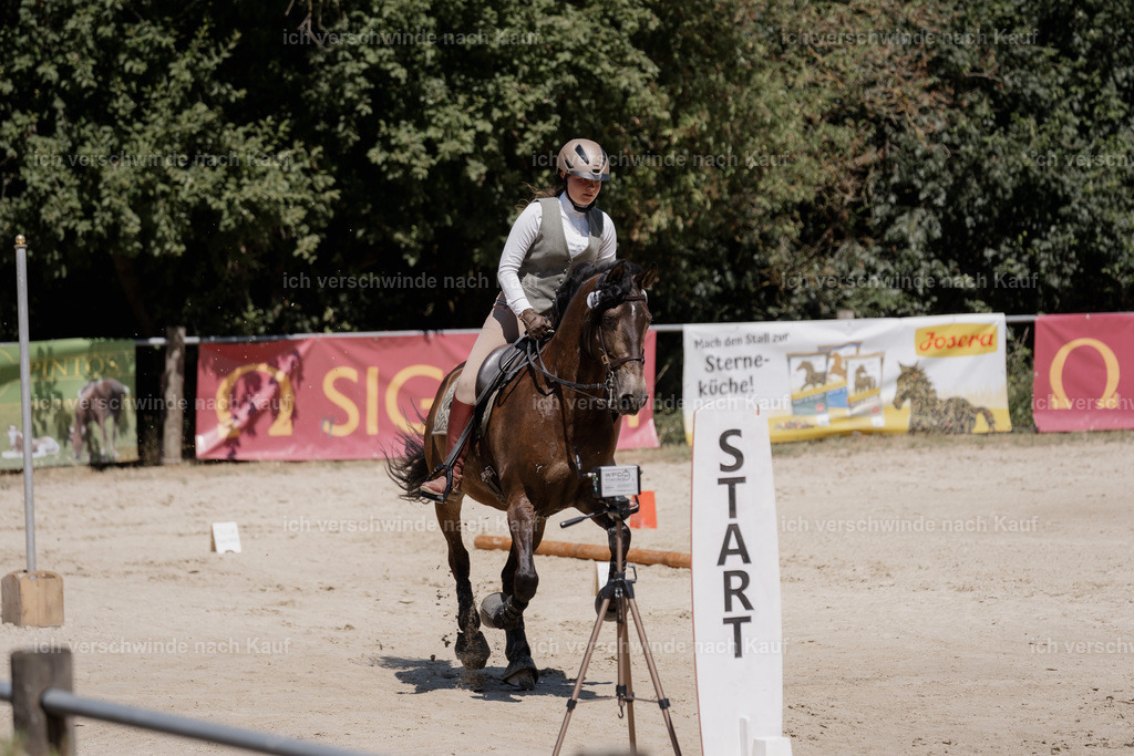 WM_SP_131_SinaFilmArt_IN06853 | working equitationturnier fotograf videograf stoibphotography marixx film working equitation deutschland reitsport turnierfotografie eventfotografie equestrian events
