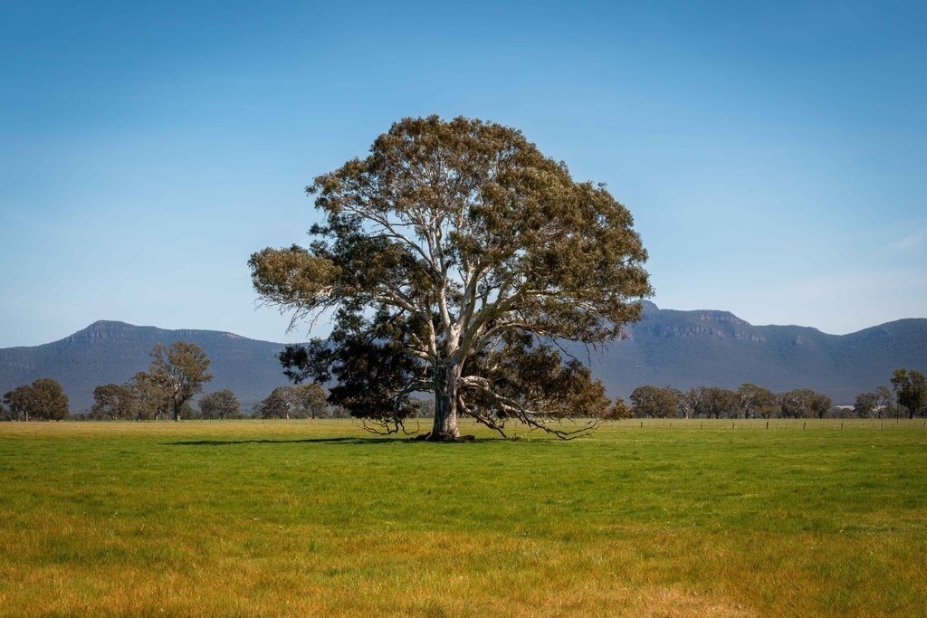 Australien Grampians 01 | christophschaarschmidt - Realisiert mit Pictrs.com
