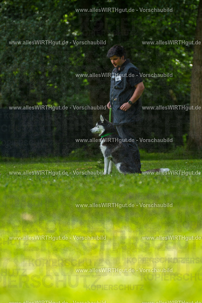 @allesWIRTHgut_Tierfotografie - www.allesWIRTHgut.de - 7R500890 | Professionelle Tierfotografie in Mönchengladbach von Daniel Wirth (allesWIRTHgut). Liebevolle & natürliche Bilder von Hunden & Katzen für unvergessliche Erinnerungen.
