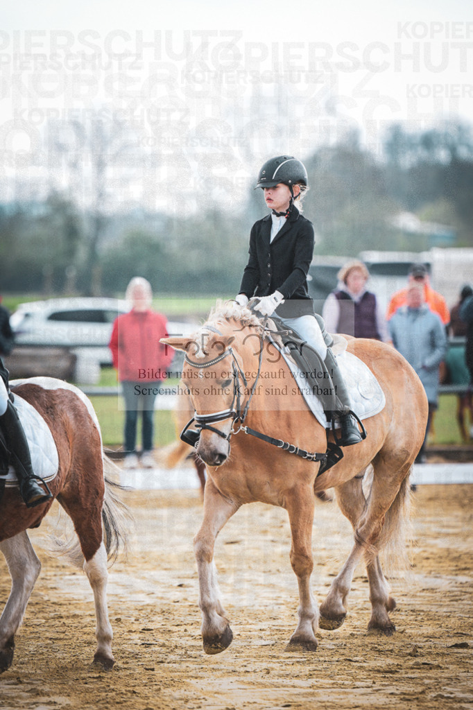 DOS_5719 | Entdecke hochwertige Reitturnierfotos von Foto Oger. Professionell, emotional und authentisch – jetzt Lieblingsmomente im Shop bestellen.Deutschlandweite Turnierfotografie. - Realisiert mit Pictrs.com