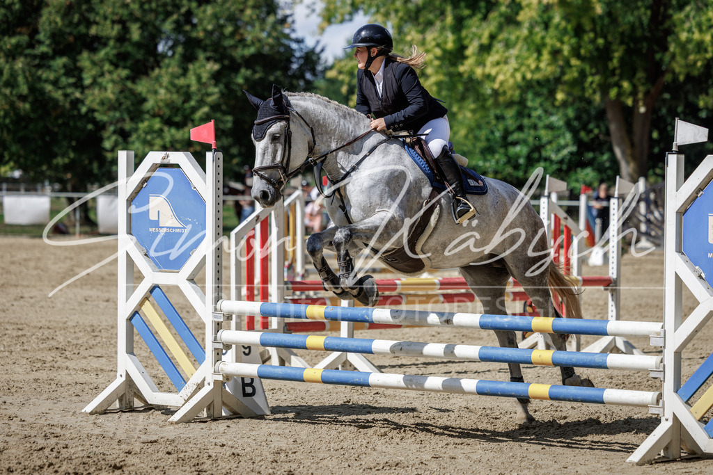 20260905-_3LI9111 | Tierfotografie Pferde, Hunde, Katzen, Haustiere.
Turnierfotografie Reitturniere, Reiten, Springreiten, Dressur in Hanau, dem Main-Kinzig-Kreis und dem Rhein-Main- Gebiet um Frankfurt