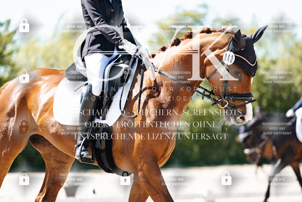 CK905377 | Turnierfotografie Pferdefotografie Trier Rheinland-Pfalz Pferdesport Reitsport Tierfotografie Sportfotografie Pferdevideo Pferdevideografie Equestrianvideography equestrianphotography  - Realisiert mit Pictrs.com