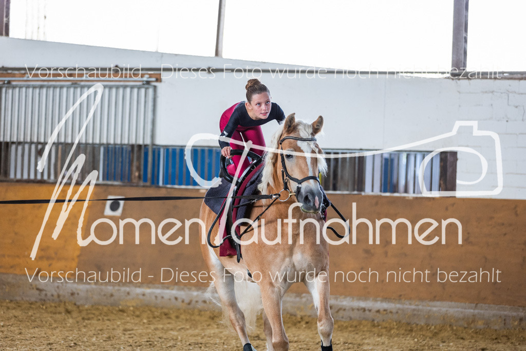 GS-Einsteiger-090 | MomenTaufnahmen Pferdesportfotos