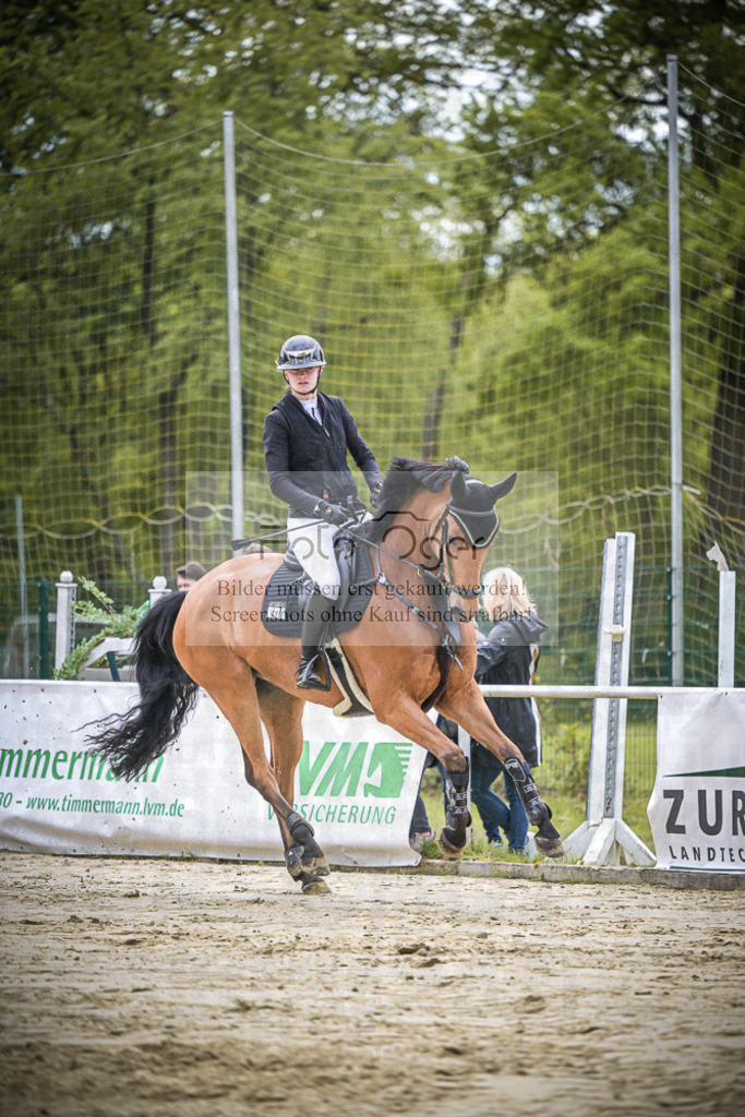 DOS_1282 | Entdecke hochwertige Reitturnierfotos von Foto Oger. Professionell, emotional und authentisch – jetzt Lieblingsmomente im Shop bestellen.Deutschlandweite Turnierfotografie. - Realisiert mit Pictrs.com